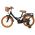 Volare Ashley Kinderfiets - Meisjes - 16 inch - Zwart