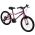 Literide Kinderfiets - Meisjes - 20 inch - Paars/Roze - Twee handremmen