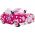 Disney Minnie Auto - Elektrische Ride-On