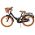 Volare Ashley Kinderfiets - Meisjes - 18 inch - Zwart - Twee handremmen