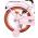 Volare Ashley Kinderfiets - Meisjes - 16 inch - Roze - Twee Handremmen