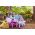 Disney Princess Paard met Koets  - Elektrische Ride-On