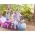 Disney Princess Paard met Koets  - Elektrische Ride-On
