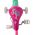Barbie Kinderfiets - Meisjes - 12 inch - Roze - Twee Handremmen