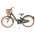 Volare Ashley Kinderfiets - Meisjes - 20 inch - Groen