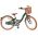 Volare Ashley Kinderfiets - Meisjes - 20 inch - Groen - Nexus 3