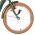 Volare Ashley Kinderfiets - Meisjes - 20 inch - Groen - Nexus 3