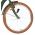 Volare Ashley Kinderfiets - Meisjes - 24 inch - Groen