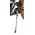 Volare Ashley Kinderfiets - Meisjes - 24 inch - Groen - Nexus 3