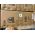 Paw Patrol -Rubble & Crew - Kinderfiets - Jongens - 12 inch - Blauw