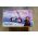 Driewieler Disney Frozen - Meisjes - Blauw
