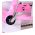 Paw Patrol Kinderfiets - Meisjes - 16 inch - Roze - Twee handremmen
