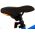 Volare Rocky Kinderfiets - Jongens - 12 inch - Blauw - Twee handremmen
