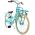 Volare Excellent Kinderfiets - Meisjes - 24 inch - Groen - Shimano Nexus 3 versnellingen