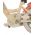 Disney Stitch Kinderfiets - Meisjes - 12 inch - Crème Koraal Blauw