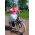 Volare Excellent Kinderfiets - Meisjes - 16 inch - Zwart - 95% afgemonteerd