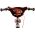 Volare Super GT Kinderfiets - Jongens - 14 inch - Rood