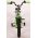 Volare Thombike Kinderfiets - Jongens - 16 inch - Zwart Groen