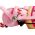 Volare Excellent Kinderfiets - Meisjes - 16 inch - Roze - 95% afgemonteerd