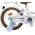 Volare Blossom Kinderfiets - Meisjes - 16 inch - Wit - Twee Handremmen