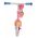 Disney Stitch loopfiets metaal