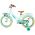 Volare Excellent Kinderfiets - Meisjes - 18 inch - Groen - 95% afgemonteerd