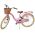 Volare Blossom Kinderfiets - Meisjes - 24 inch - Roze
