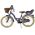 Volare Blossom Kinderfiets - Meisjes - 18 inch - Paars