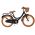 Volare Ashley Kinderfiets - Meisjes - 18 inch - Zwart