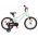 Volare Milano Kinderfiets - Meisjes - 16 inch - Mintgroen - Twee handremmen