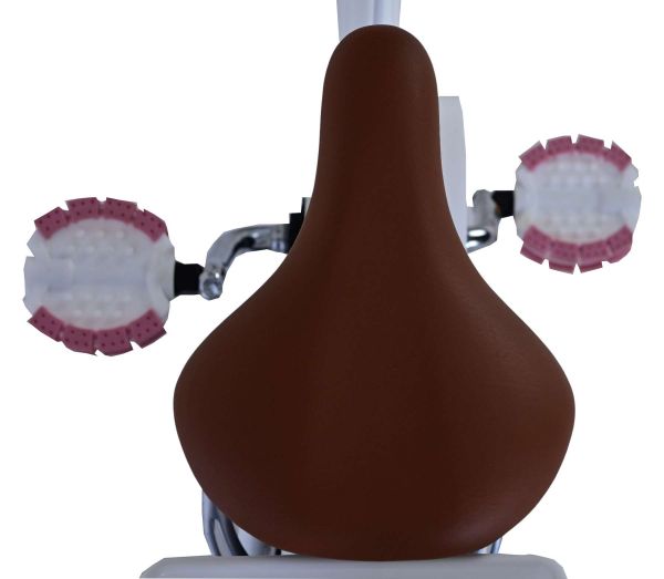Volare Blossom Kinderfiets - Meisjes - 16 inch - Wit - Twee Handremmen