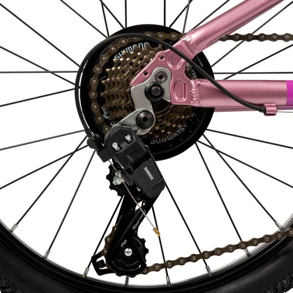 Literide Kinderfiets - Meisjes - 20 inch - Paars/Roze - Twee handremmen