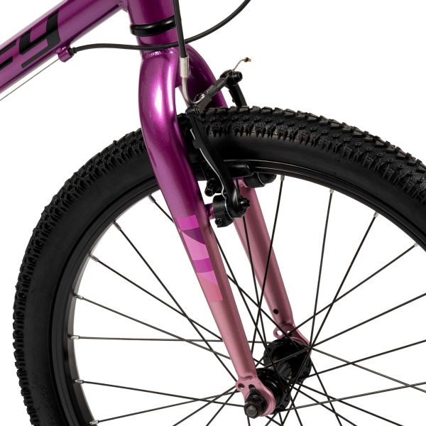 Literide Kinderfiets - Meisjes - 20 inch - Paars/Roze - Twee handremmen