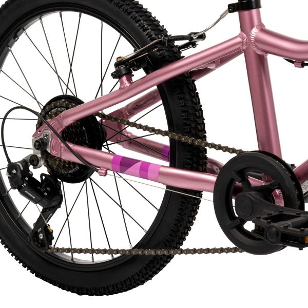 Literide Kinderfiets - Meisjes - 20 inch - Paars/Roze - Twee handremmen