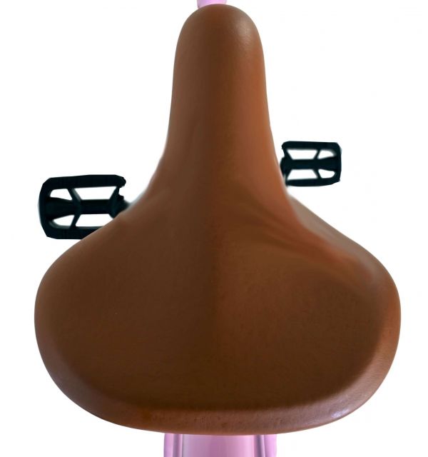 Volare Blossom Kinderfiets - Meisjes - 26 inch - Roze